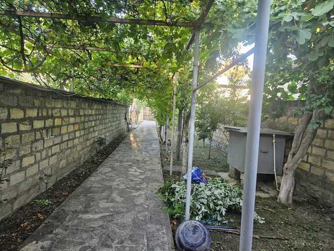 3 otaqlı həyət evi/bağ evi - Şəki - 130 m² (9)