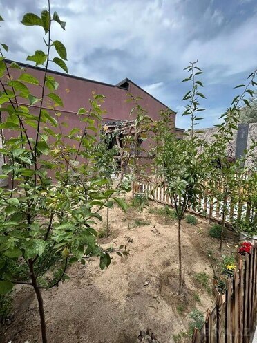 3 otaqlı həyət evi/bağ evi - Novxanı q. - 90 m² (6)