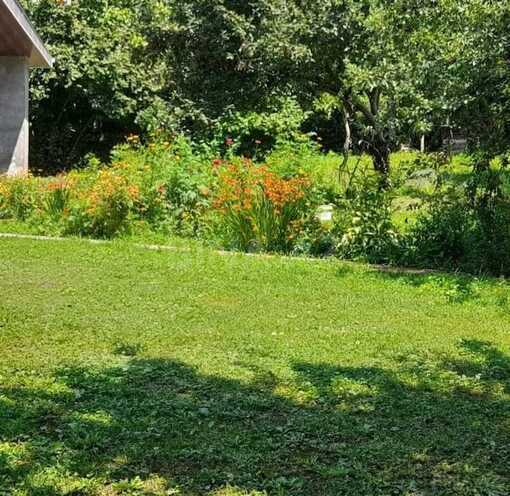 4 otaqlı həyət evi/bağ evi - Qax - 120 m² (17)