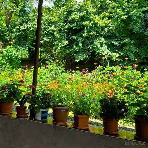 4 otaqlı həyət evi/bağ evi - Qax - 120 m² (16)