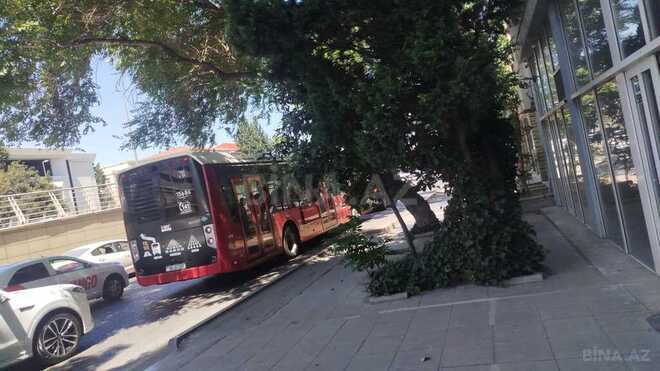 Obyekt - Böyükşor q. - 167 m² (2)