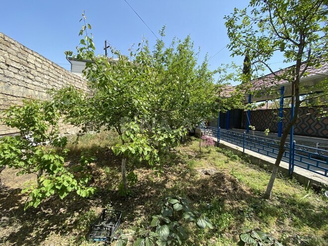 3 otaqlı həyət evi/bağ evi - Əhmədli q. - 117 m² (17)