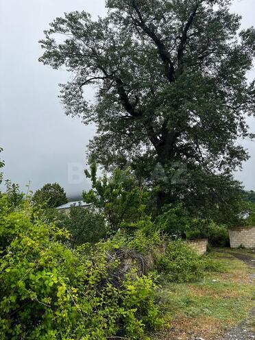 2 otaqlı həyət evi/bağ evi - İsmayıllı - 60 m² (5)