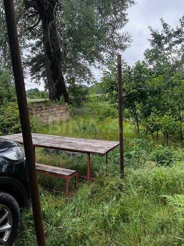 2 otaqlı həyət evi/bağ evi - İsmayıllı - 60 m² (1)
