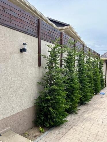 5 otaqlı həyət evi/bağ evi - Mərdəkan q. - 220 m² (2)