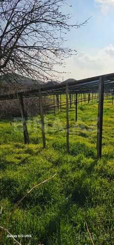4 otaqlı həyət evi/bağ evi - Maştağa q. - 150 m² (10)