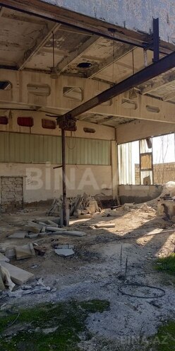 Obyekt - Maştağa q. - 30000 m² (6)