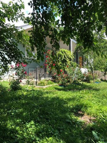 4 otaqlı həyət evi/bağ evi - Qax - 120 m² (9)