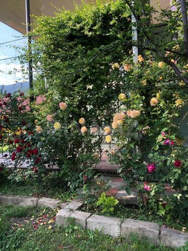 4 otaqlı həyət evi/bağ evi - Qax - 120 m² (15)