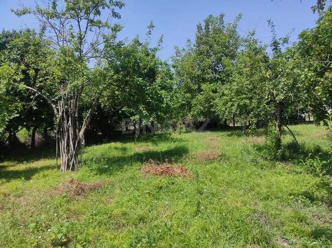 Участок - Габала - 47 сот (6)