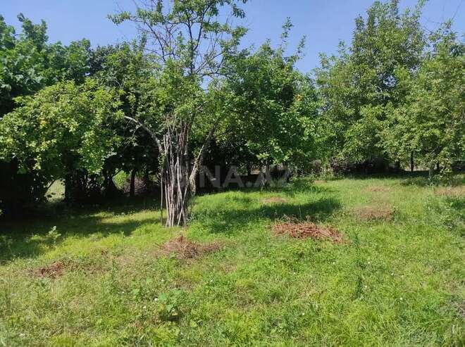 Участок - Габала - 47 сот (7)