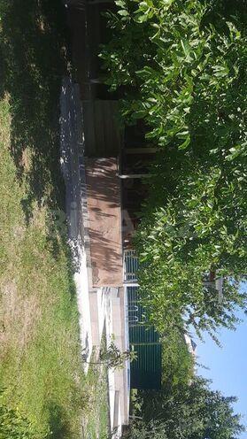 2 otaqlı həyət evi/bağ evi - İsmayıllı - 60 m² (15)