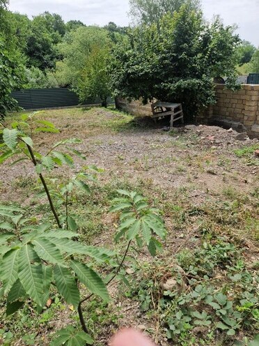 3 otaqlı həyət evi/bağ evi - Oğuz - 90 m² (24)