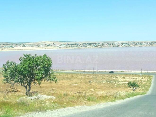 Torpaq - Masazır q. - 10 sot (3)
