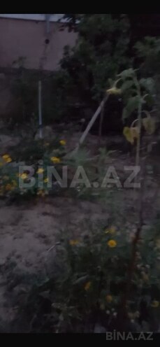 6 otaqlı həyət evi/bağ evi - Sulutəpə q. - 210 m² (29)