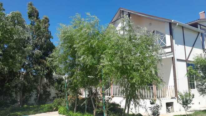 8 otaqlı həyət evi/bağ evi - Şüvəlan q. - 200 m² (18)