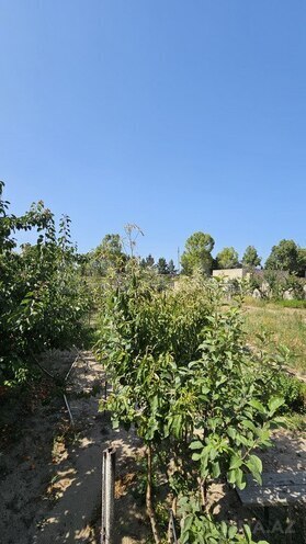 8 otaqlı həyət evi/bağ evi - Bilgəh q. - 1 m² (26)
