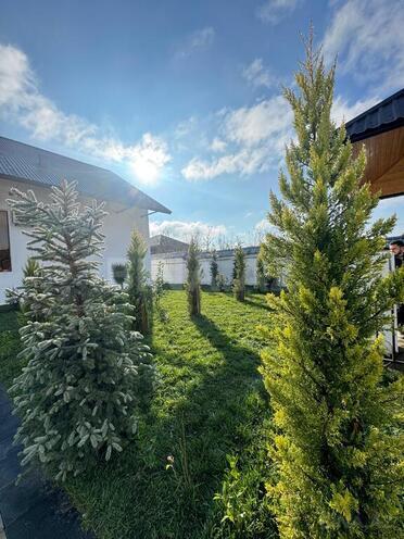 6 otaqlı həyət evi/bağ evi - Qəbələ - 200 m² (28)