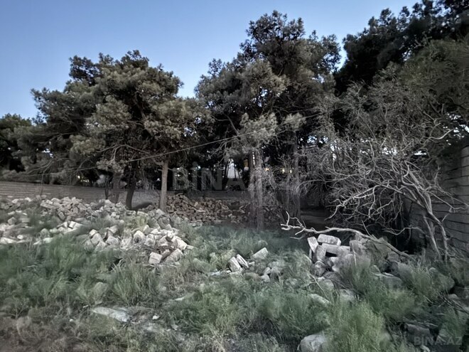 Torpaq - Sabunçu q. - 5 sot (4)