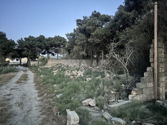 Torpaq - Sabunçu q. - 5 sot (2)