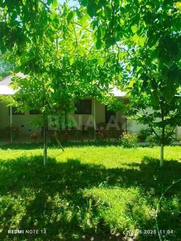 4 otaqlı həyət evi/bağ evi - Qəbələ - 100 m² (14)
