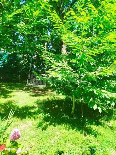 4 otaqlı həyət evi/bağ evi - Qəbələ - 100 m² (3)