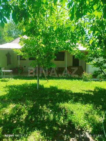 4 otaqlı həyət evi/bağ evi - Qəbələ - 100 m² (9)