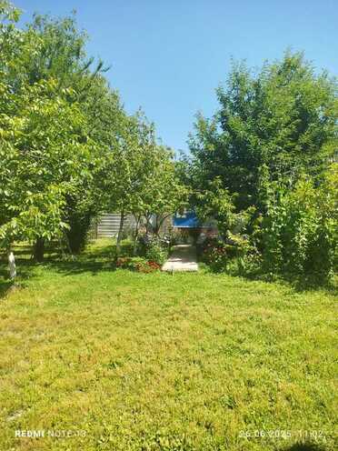 4 otaqlı həyət evi/bağ evi - Qəbələ - 100 m² (18)