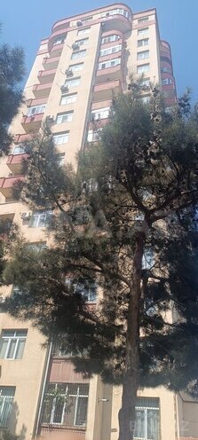 3 otaqlı yeni tikili - Memar Əcəmi m. - 116 m² (1)