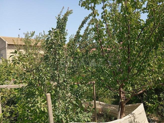 3 otaqlı həyət evi/bağ evi - Xəzər r. - 9.5 m² (8)