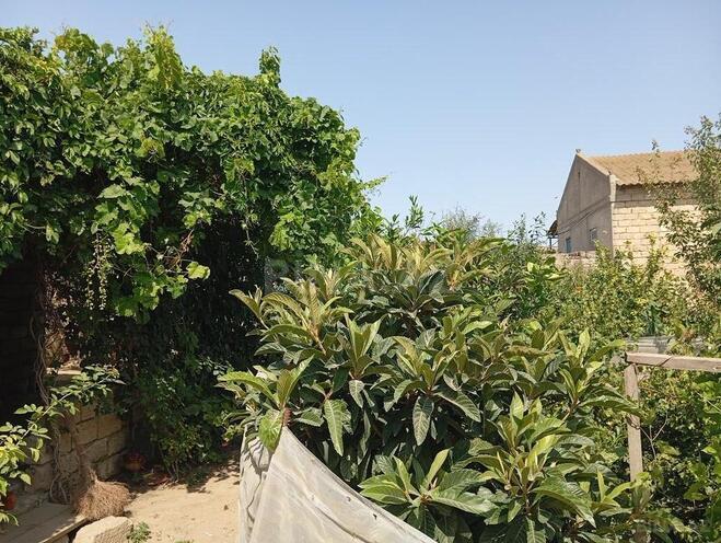 3 otaqlı həyət evi/bağ evi - Xəzər r. - 9.5 m² (9)