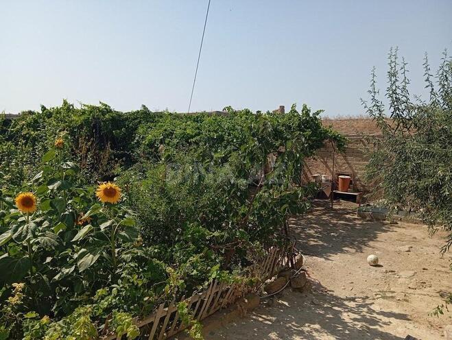 3 otaqlı həyət evi/bağ evi - Xəzər r. - 9.5 m² (11)