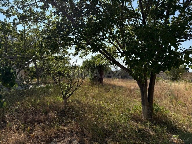 2 otaqlı həyət evi/bağ evi - Sumqayıt - 50 m² (3)