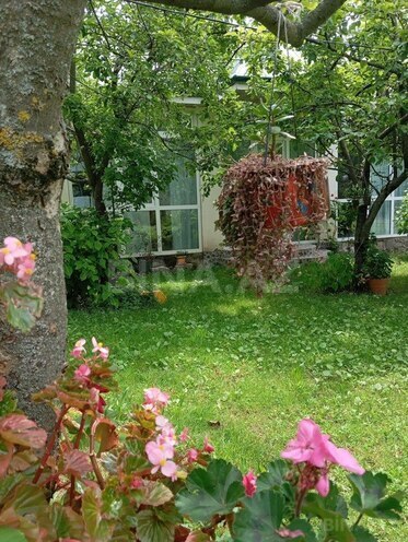 2 otaqlı həyət evi/bağ evi - Qax - 60 m² (6)