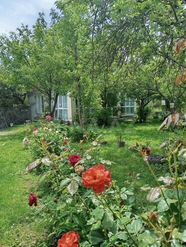 2 otaqlı həyət evi/bağ evi - Qax - 60 m² (13)
