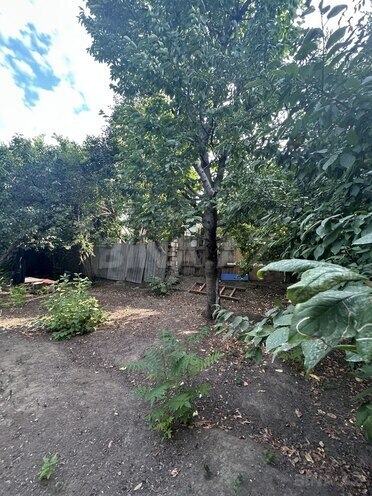 2-комн. дом/дача - Гянджа - 40 м² (10)