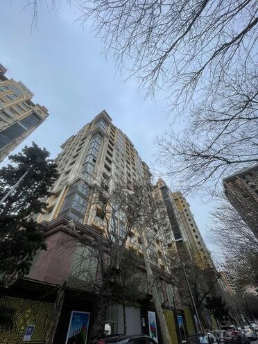 3 otaqlı yeni tikili - Nəriman Nərimanov m. - 120 m² (19)
