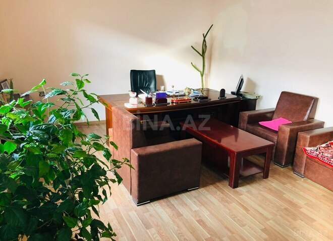 Объект - Товуз - 60000 м² (5)