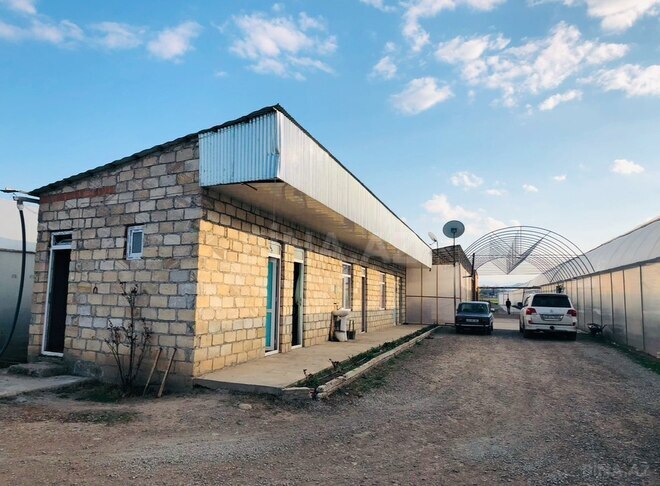Объект - Товуз - 60000 м² (4)