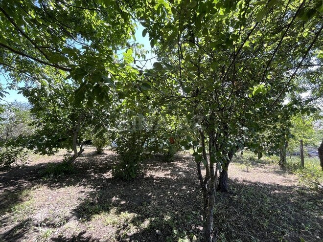 3-комн. дом/дача - Шемаха - 90 м² (25)