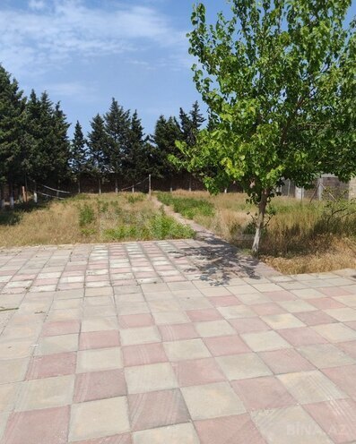 Участок - пос. Нардаран - 12 сот (8)