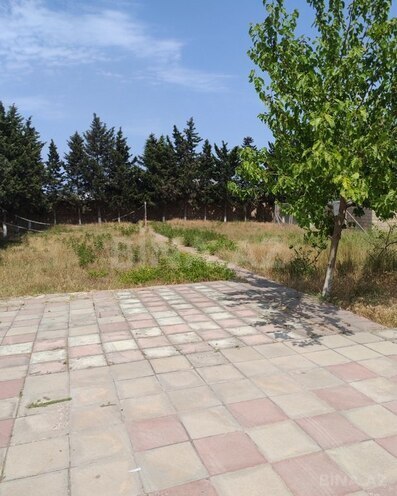 Участок - пос. Нардаран - 12 сот (7)