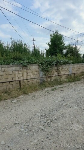 Torpaq - Şamaxı - 6 sot (12)