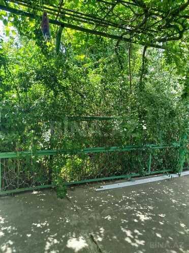 3 otaqlı həyət evi/bağ evi - Elmlər Akademiyası m. - 2500 m² (3)
