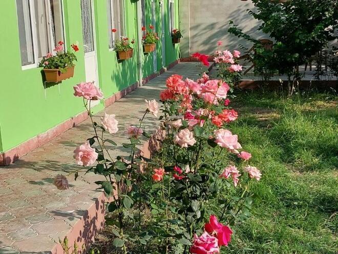 2 otaqlı həyət evi/bağ evi - Quba - 100 m² (3)