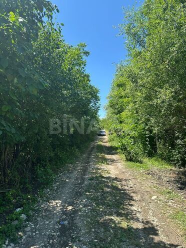 Участок - Гусар - 15 сот (8)