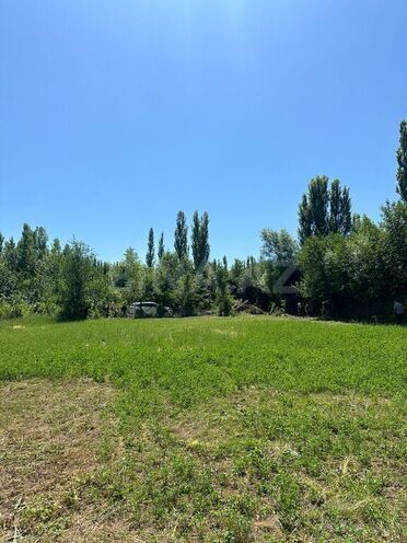Участок - Гусар - 15 сот (5)