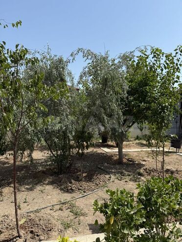 7 otaqlı həyət evi/bağ evi - Zirə q. - 150 m² (25)