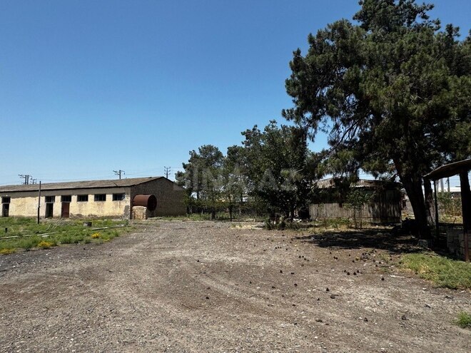 Obyekt - İmişli - 2046.6 m² (5)
