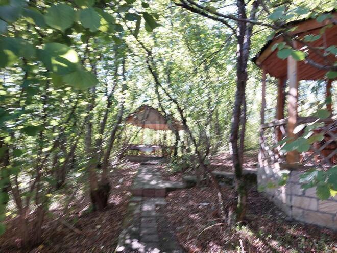 Объект - Губа - 1600000 м² (27)